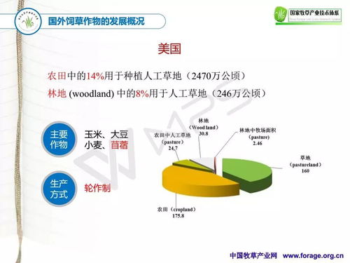 十三五期間國家牧草產(chǎn)業(yè)技術(shù)體系網(wǎng)絡(luò)系統(tǒng)工程技術(shù)的創(chuàng)新與發(fā)展