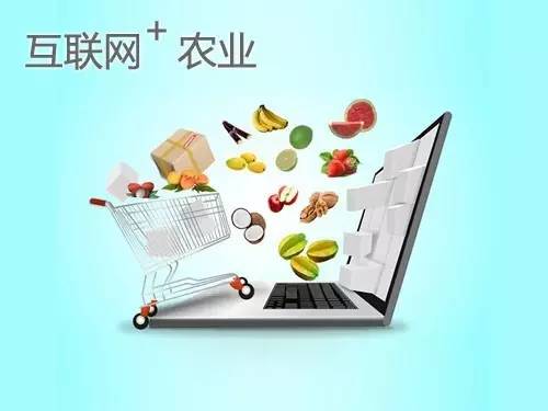 電商是農產品銷售的“救世主”嗎？